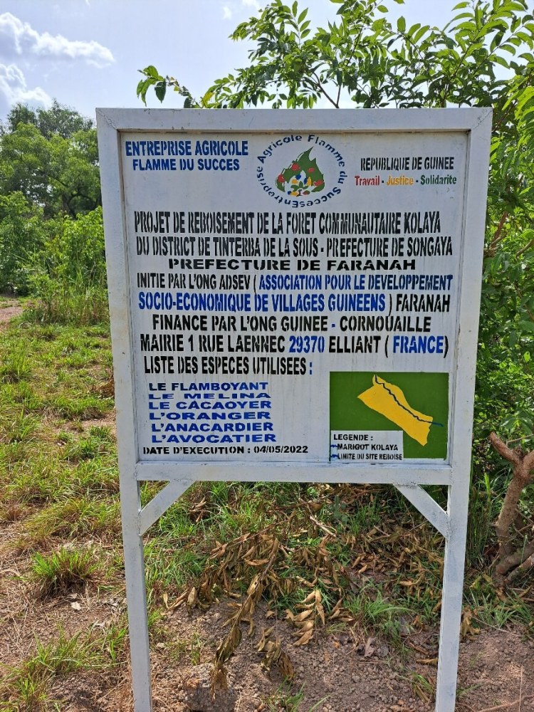 Panneau d'informations sur le reboisement